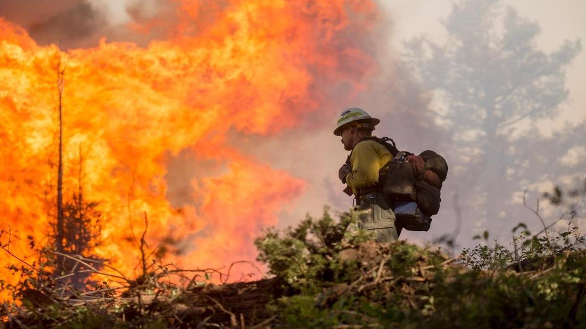 Firefighters at work in the Boise National Forest near Idaho City, ID in July 2016.