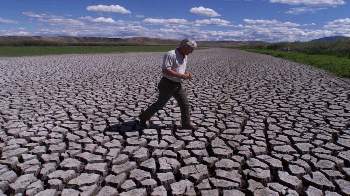 Phil Norton, manager of the Klamath Basin National Wildlife Refuges in Tulelake, Calif., walks across the mud flats on July 17, 2001, that were created when water from the Klamath River was cut off.