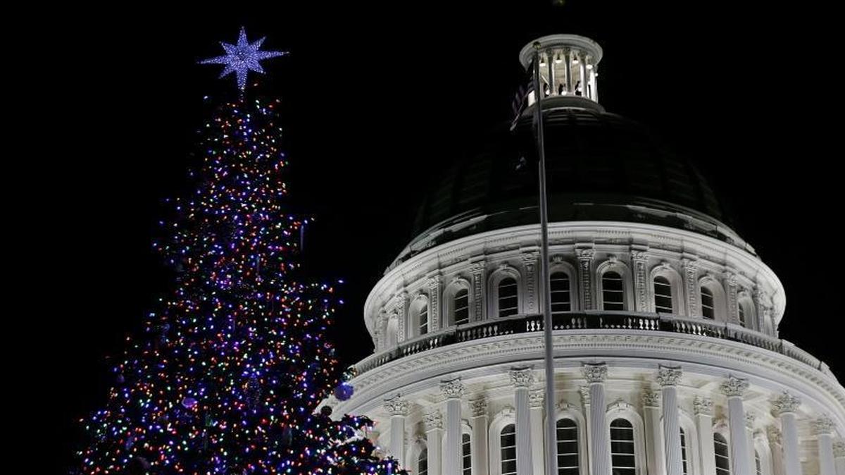 The Capitol Christmas Tree glows from the 10,000 ultra-low wattage LED lights, after lighting ceremonies in Sacramento, Calif., Dec. 5, 2016.