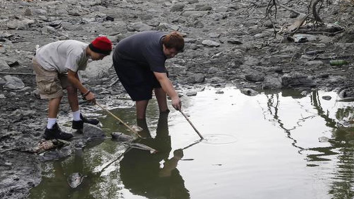 
Carlos Gomez, 13, left, and Josh Roberts, 15, both of San Jose, explore the dried up Guadalupe River near Santa Clara Street in San Jose, Calif., on July 11, 2015. The two friends came across a pool of water where many of the remaining carp in the river were trapped and dying.
