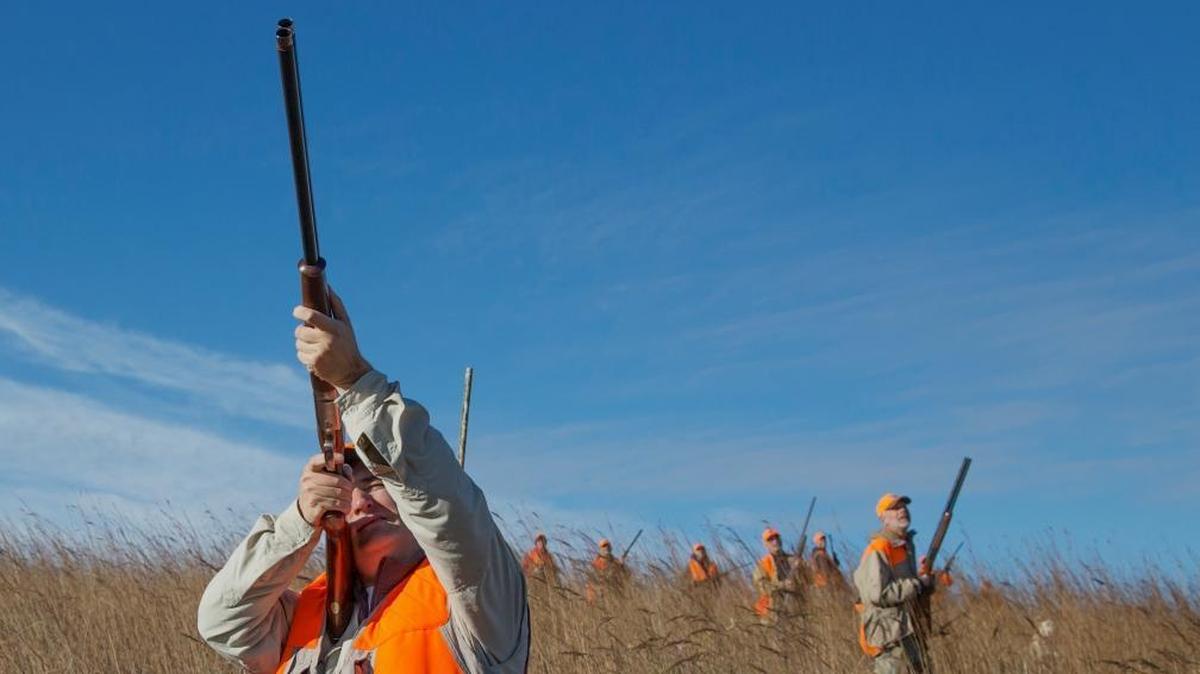Sen. Ted Cruz, R-Texas, shoots at a pheasant during a 2013 hunt hosted by Rep. Steve King R-Iowa.