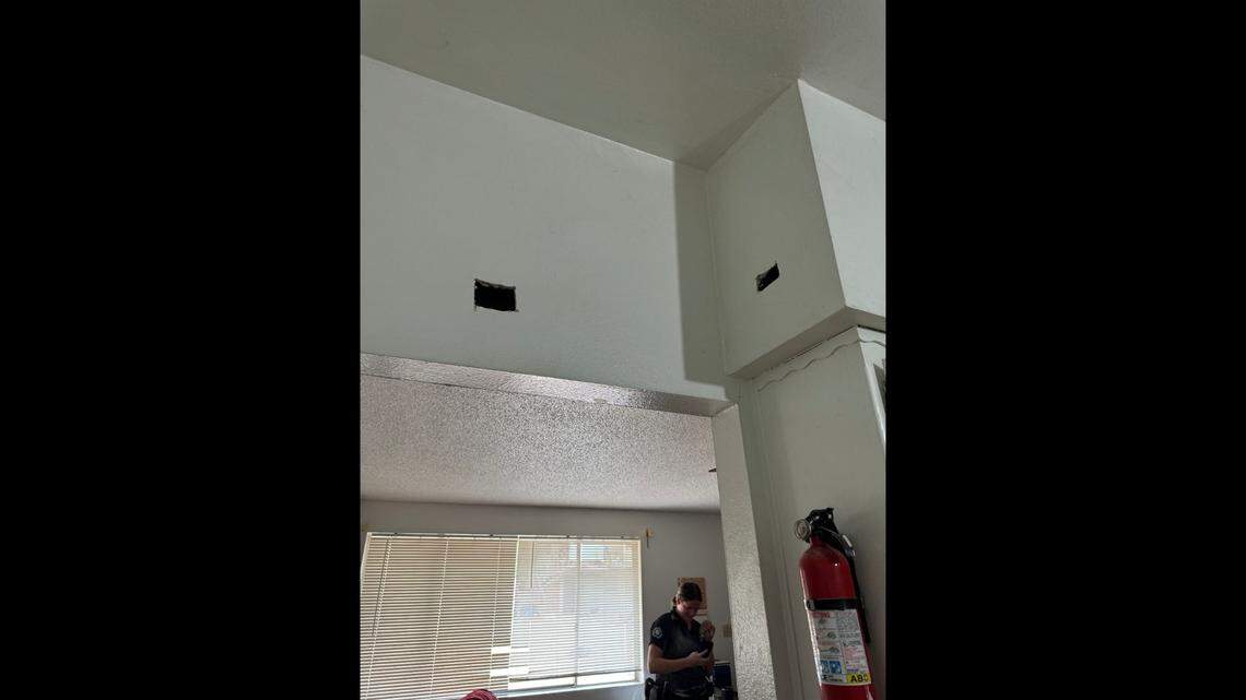 The drywall was cut open to pull Nala out.