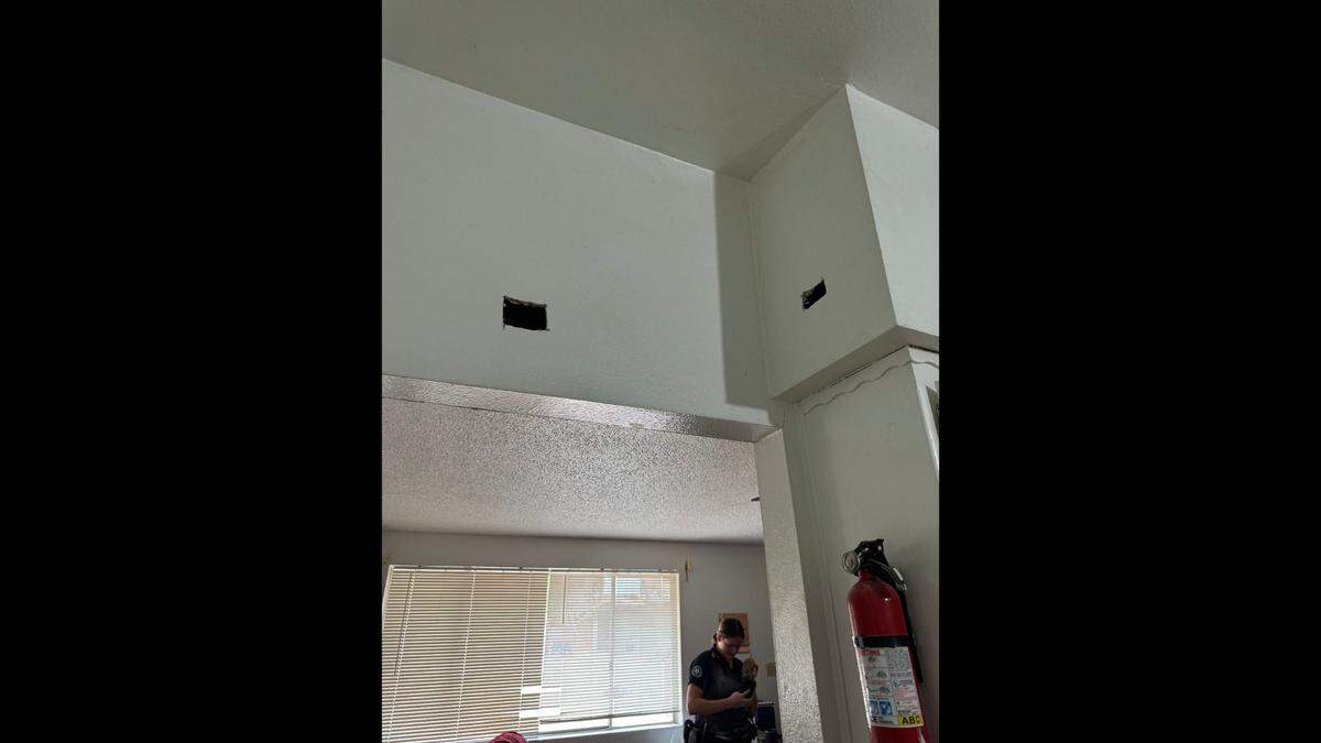 The drywall was cut open to pull Nala out.