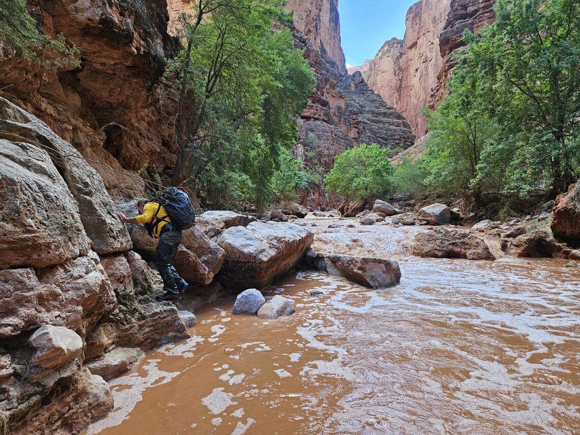 A search team member is pictured Aug. 23 navigating Havasu Creek.
