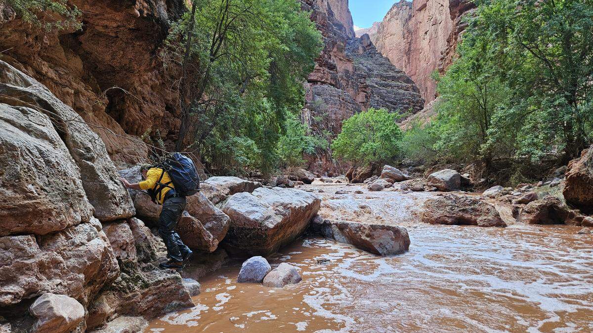A search team member is pictured Aug. 23 navigating Havasu Creek.