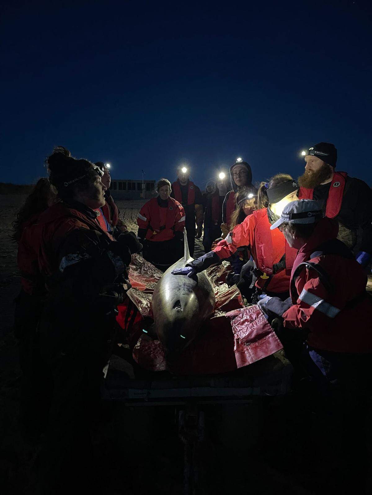 Rescuers worked into the night.