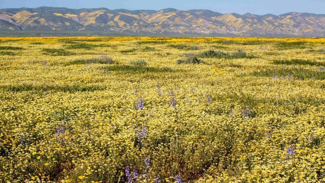 California to take ‘swift legal action’ if Trump allows drilling at national monuments