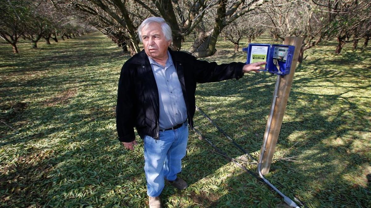 George Goshgarian farms an almond orchard where he’s been applying water to the trees to help recharge the aquifer Thursday, Nov. 19, 2015, in Fresno, Calif. The almond industry, along with University of California scientists, is studying how to increase groundwater recharge through open field flooding.