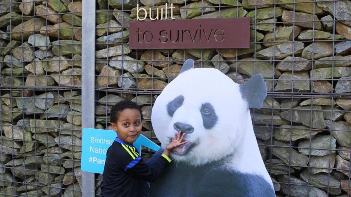 Noah Tadele, 9, an aspiring veterinarian, was at the National Zoo in Washington, D.C., Tuesday to say good-bye to Bao Bao, a panda cub returned to China after four years in the U.S.