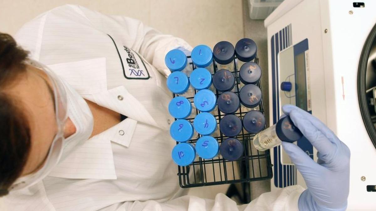 A technician removes tubes containing genetic material at a lab in Arlington, Va., in this 2010 file photo. Consumers can now buy DNA test kits for as little as $50.