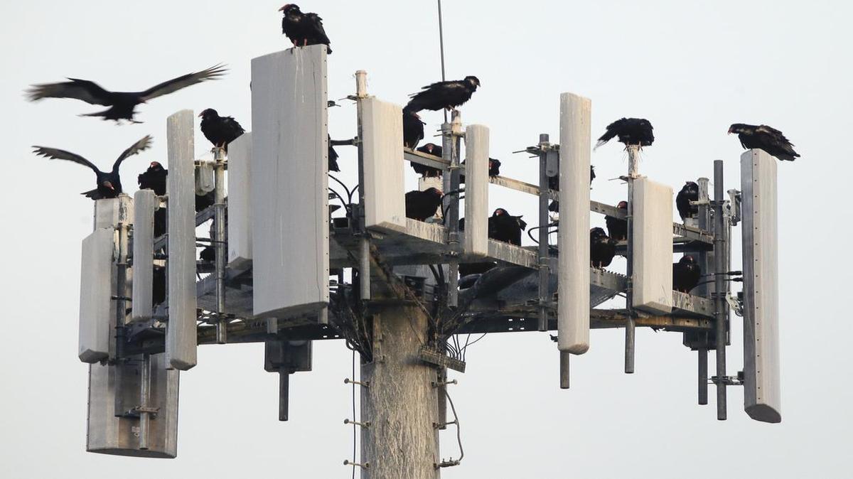 Law enforcement agencies in dozens of cities and states have suitcase-sized surveillance tools that simulate cellphone towers such as this one and can track individual cellphones. But the devices can also disrupt emergency calls placed by individuals who are not being monitored. This week, a congressional committee called for legislation to set a national standard for their use.