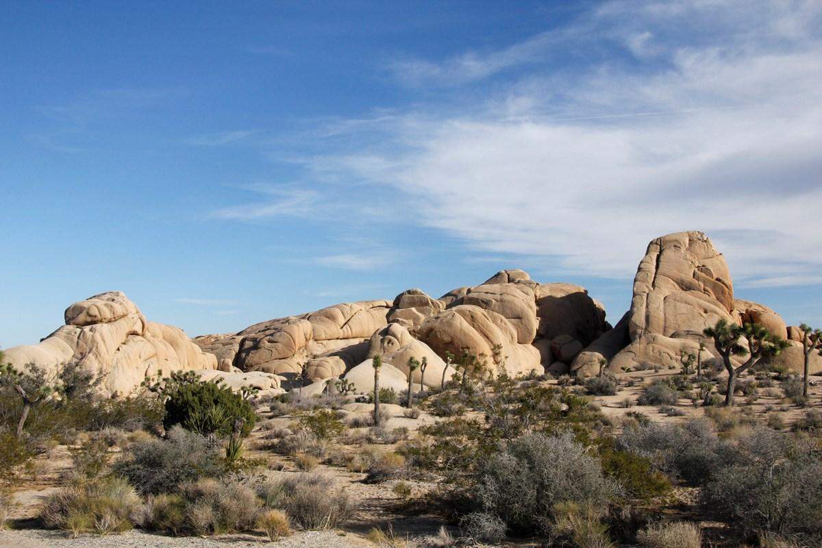 Jumbo Rocks Campground is pictured.