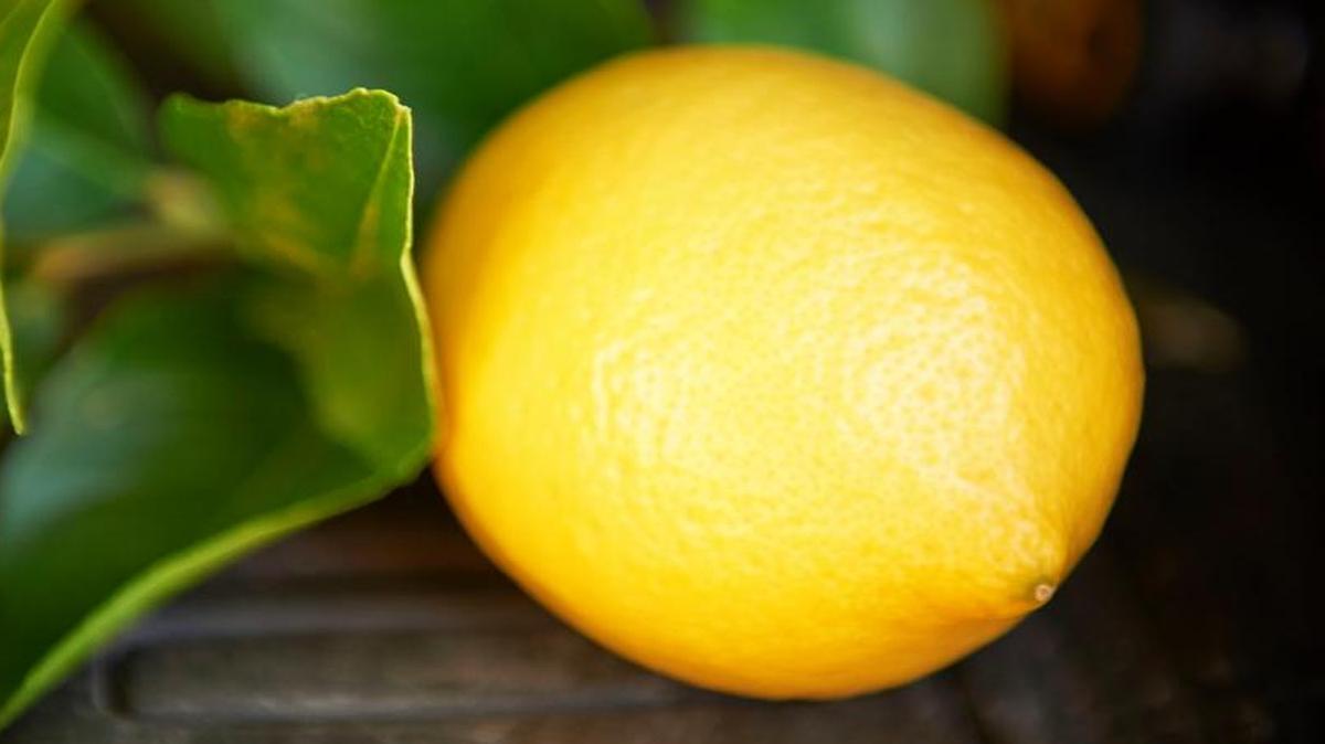 California lemon producers are alarmed about an Agriculture Department proposal to allow lemons to be imported from Argentina.