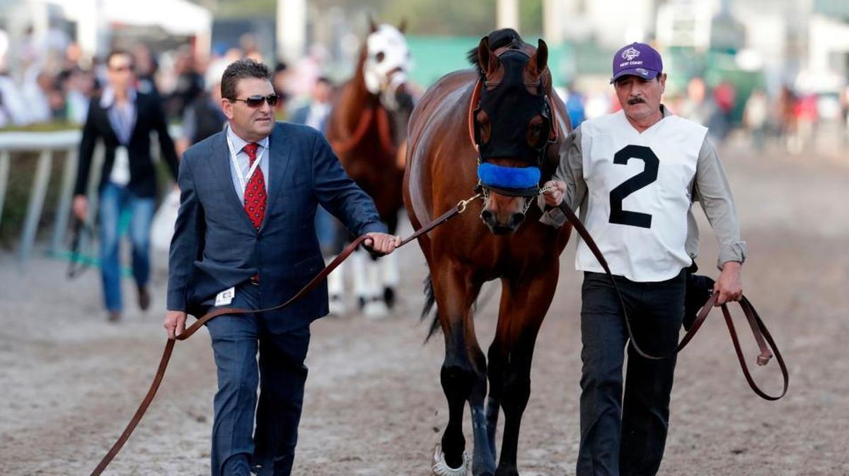 West Coast is led onto the track for the 12th race at the Pegasus World Cup Invitational horse race, at Gulfstream Park in Hallandale Beach, Fla.