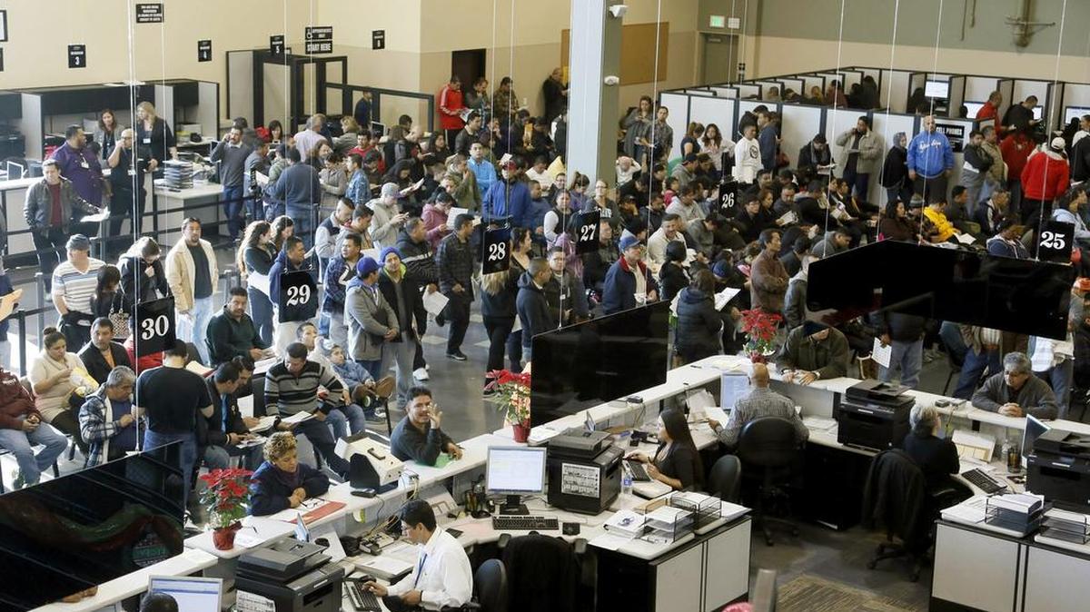 Immigrants line up at a California Department of Motor Vehicles office to register for drivers licenses in Stanton, Calif., Friday, Jan. 2, 2015.