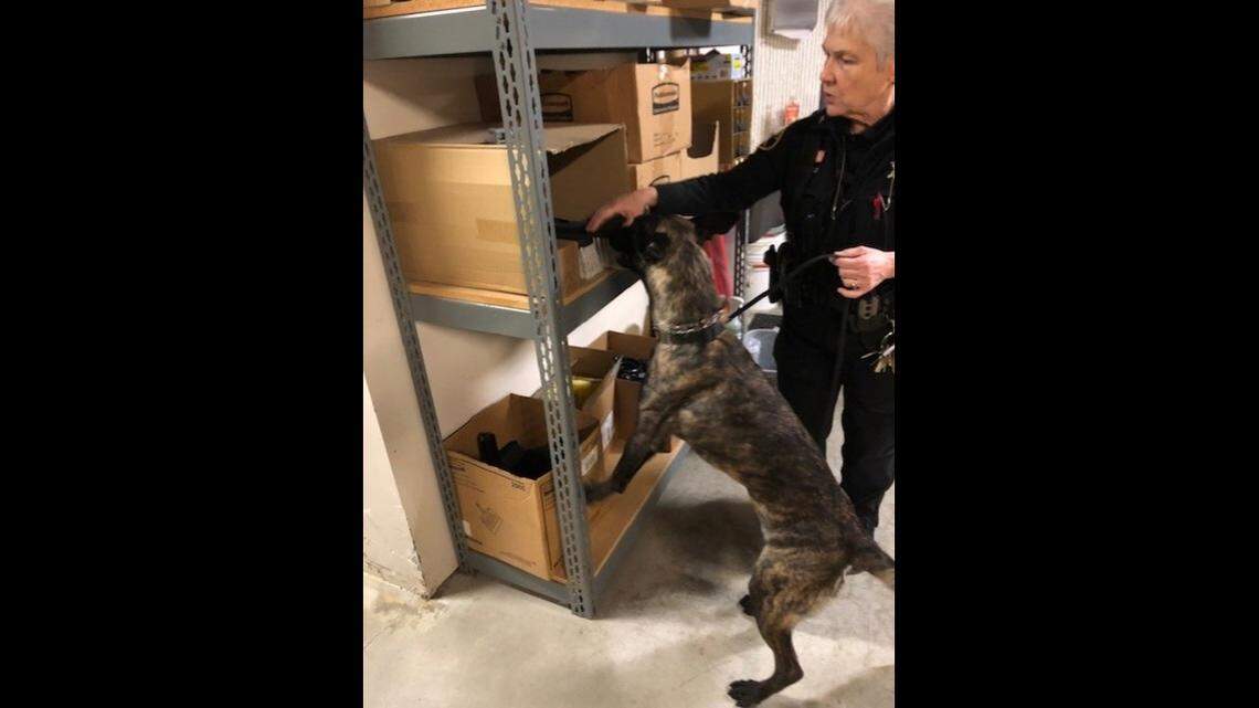 Dame began training with a DEA task force officer and will complete her training in August, the rescue said.