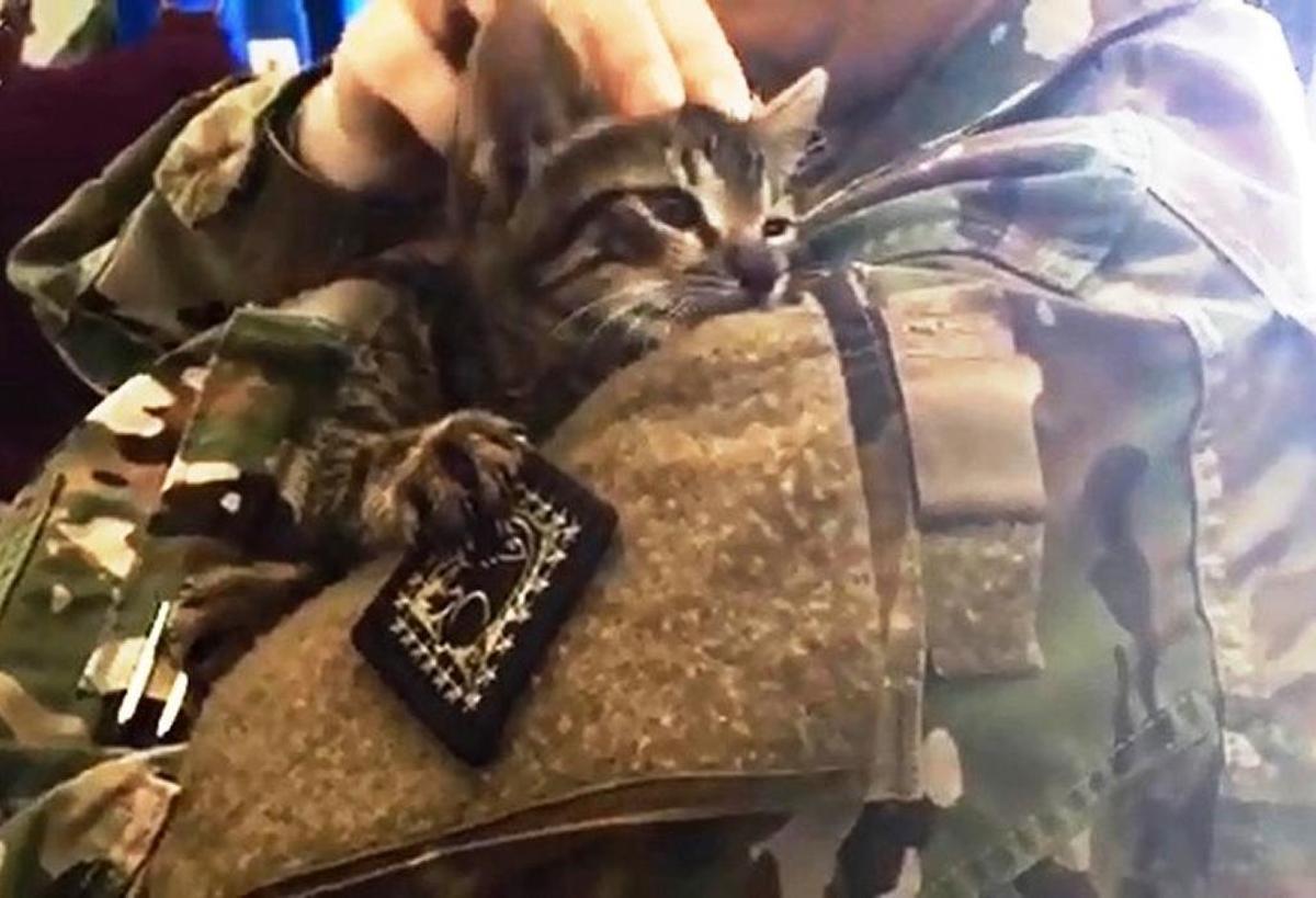 A cat-loving Army sergeant plays with a foster cat at a self-styled backyard shelter in a neighborhood at the U.S. Navy base at Guantánamo Bay, Cuba, in a photo approved for release by the U.S. military.