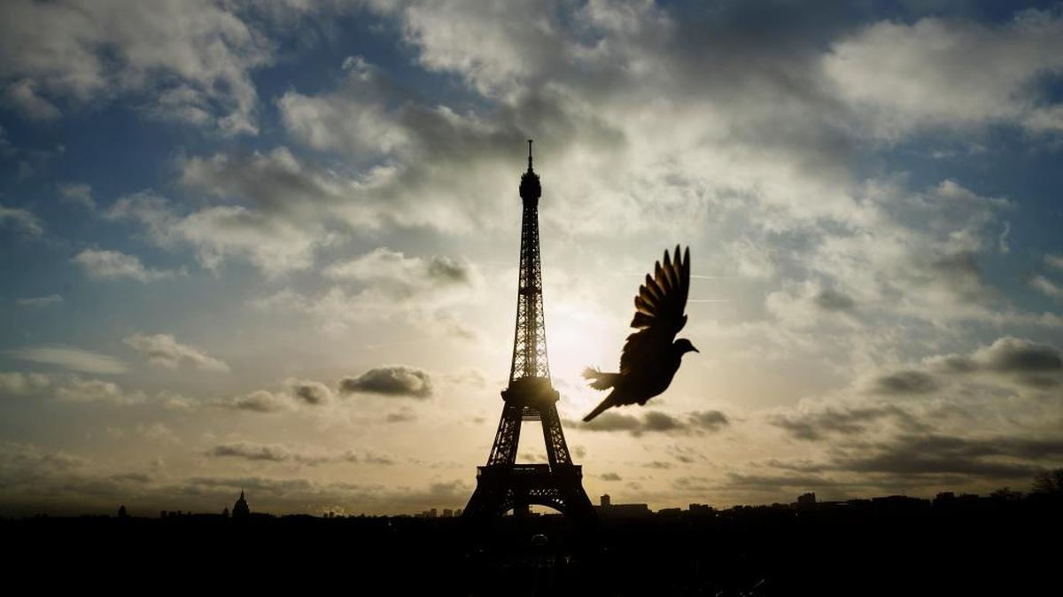 You could post Instagram-worthy photos like this one on your next trip to Europe using proposed free public Wifi.
