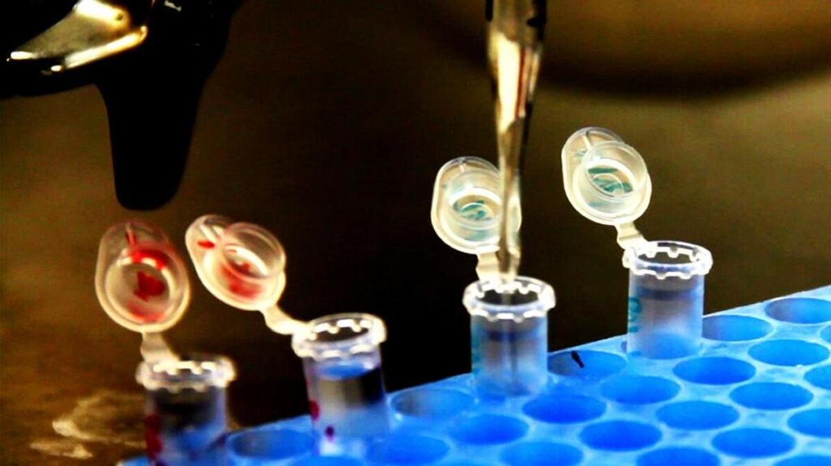 Many scientists seem to be fighting back against certain actions by the Trump Administration.