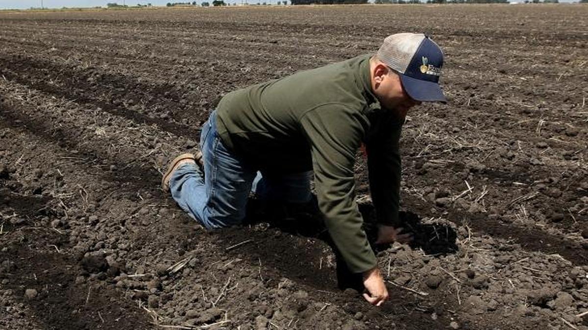 Stalled legislation addressing the California drought joins a long legislative backlog awaiting Congress when lawmakers return after Labor Day. In this May 18, 2015, photo, Gino Celli checks the moisture of land just planted with corn seed on land he farms near Stockton, Calif.