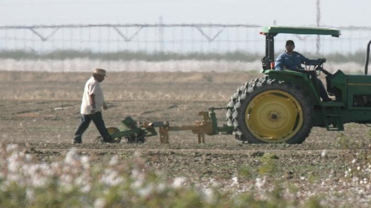In this 2009 file photo, work goes on next to a cotton field in the Westlands Water District, near Five Points, Calif.