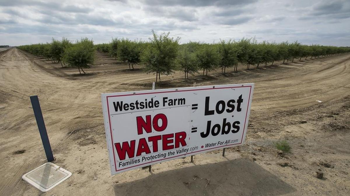 
Signs like this one dot the landscape in the Westlands Water district west of Fresno. Westlands and the federal government have now reached a settlement in a long-running dispute over irrigation drainage.
