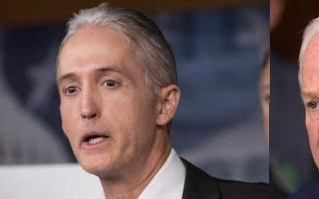 South Carolina Rep. Trey Gowdy and Texas Sen. John Cornyn