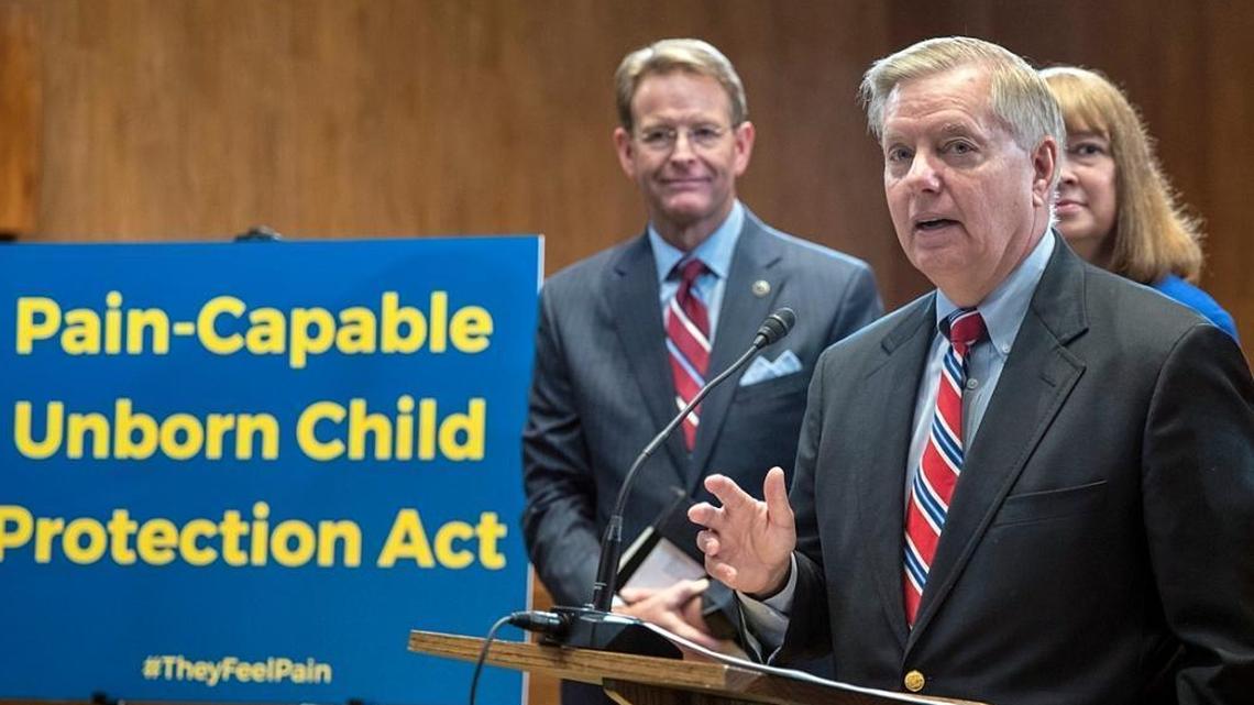 Sen. Lindsey Graham, R-S.C., talks about his legislation that would ban abortions after 20 weeks of fetal development.