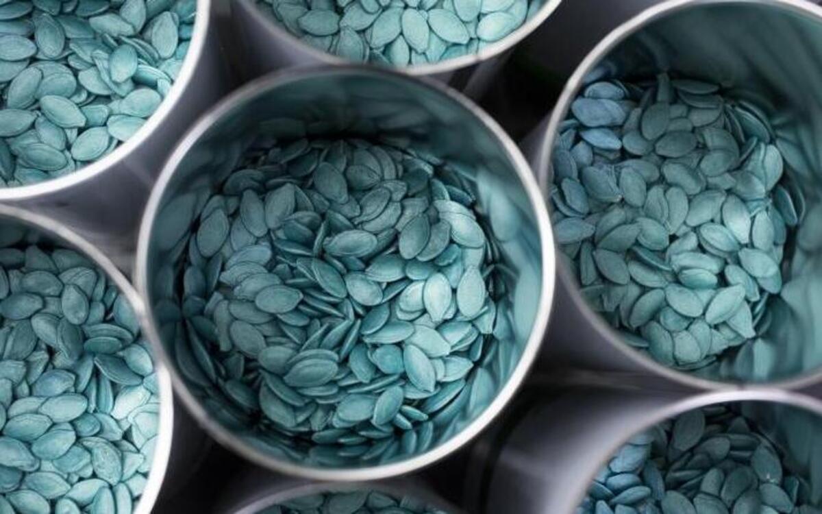 Hybrid squash seeds in unsealed tins at the Seminis processing plant, the vegetable seeds division of Monsanto Co., in Enkhuizen, Netherlands. Bayer intends to take over Monsanto in a $66 billion deal that would create a mega-firm controlling about a quarter of the global market for seeds and pesticides.
