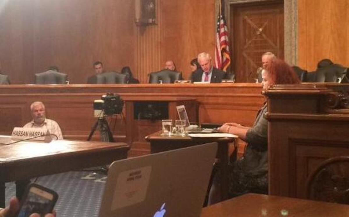 The Senate Committee on Homeland Security and Governmental Affairs holds a hearing Tuesday, June 21, 2016, on the ideology of the Islamic State on Capitol Hill. Four human rights activists relayed for senators their impressions of ISIS’s belief system — and how to prevent it from inspiring violence.