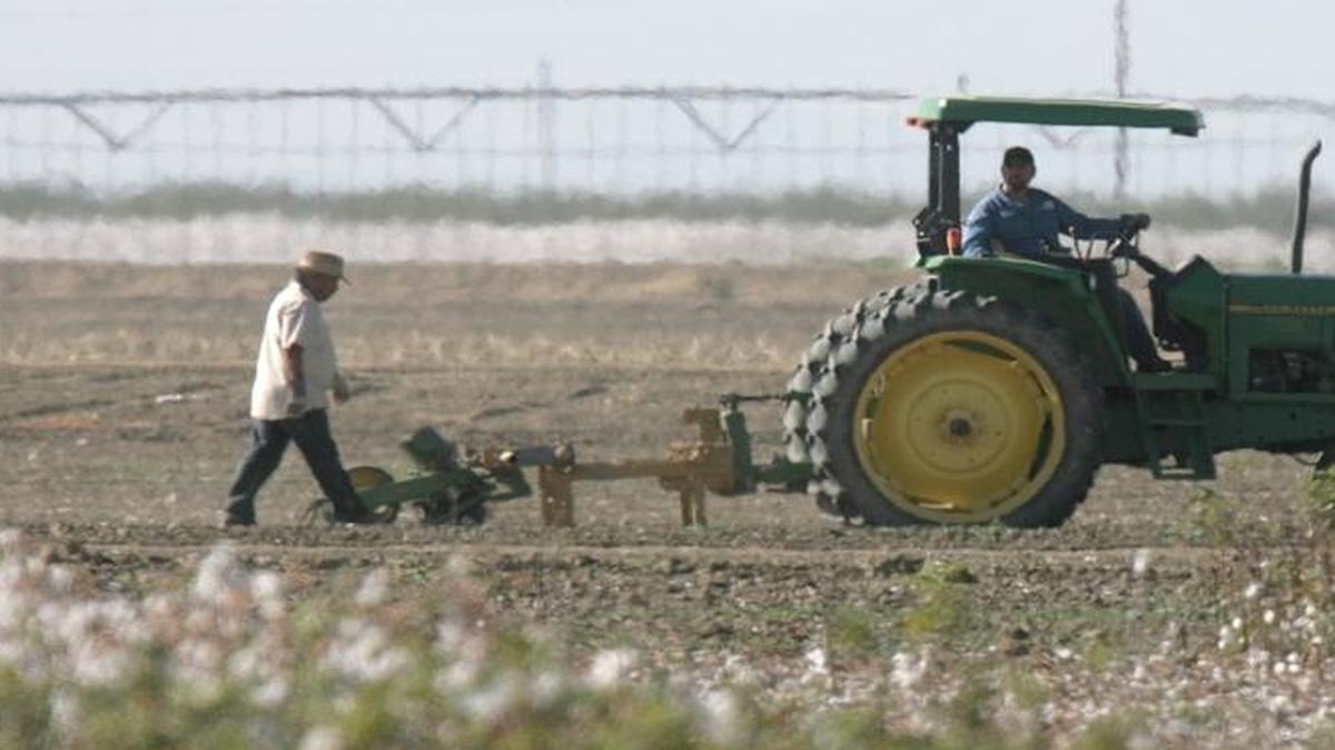 Work goes on next to a cotton field in the Westlands Water District, near Five Points, in October 2009.