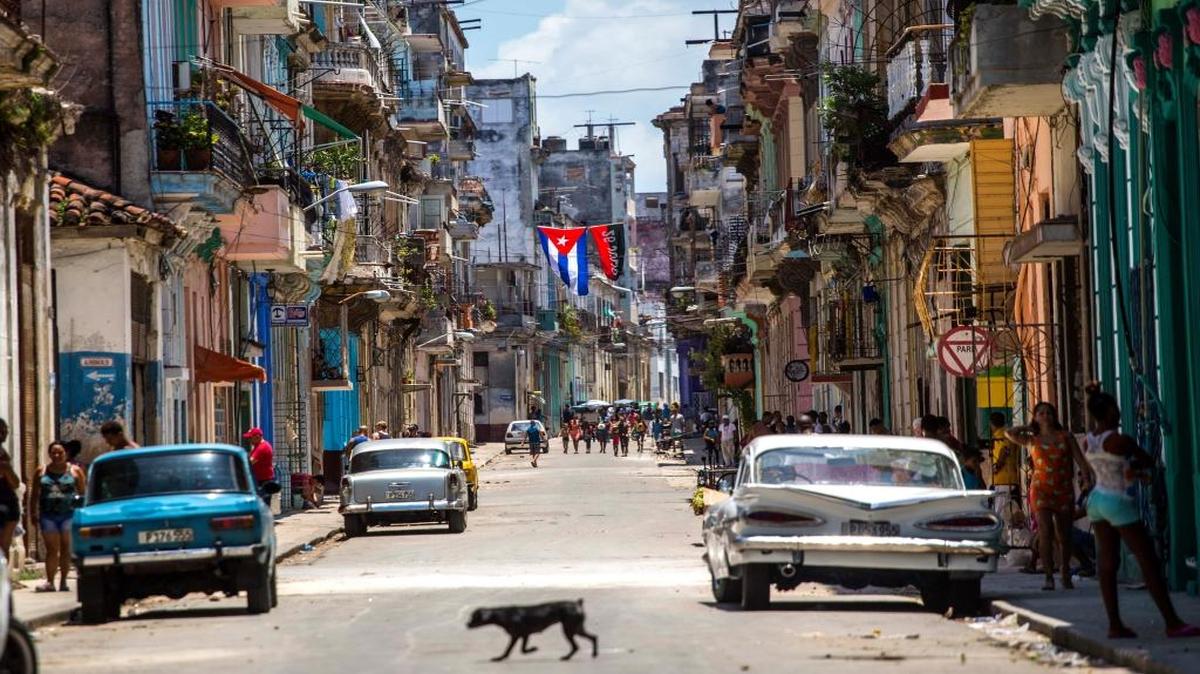 A dog crosses a street adorned with a Cuban flag and a 26 of July Movement flag in downtown Havana on Tuesday, July 26, 2016, the 63rd anniversary of Fidel Castro’s attack on the Moncada Barracks that is considered the start of the Cuban revolution. The Democratic and Republican parties have presented starkly different objectives when dealing with Cuba and other Latin American countries.