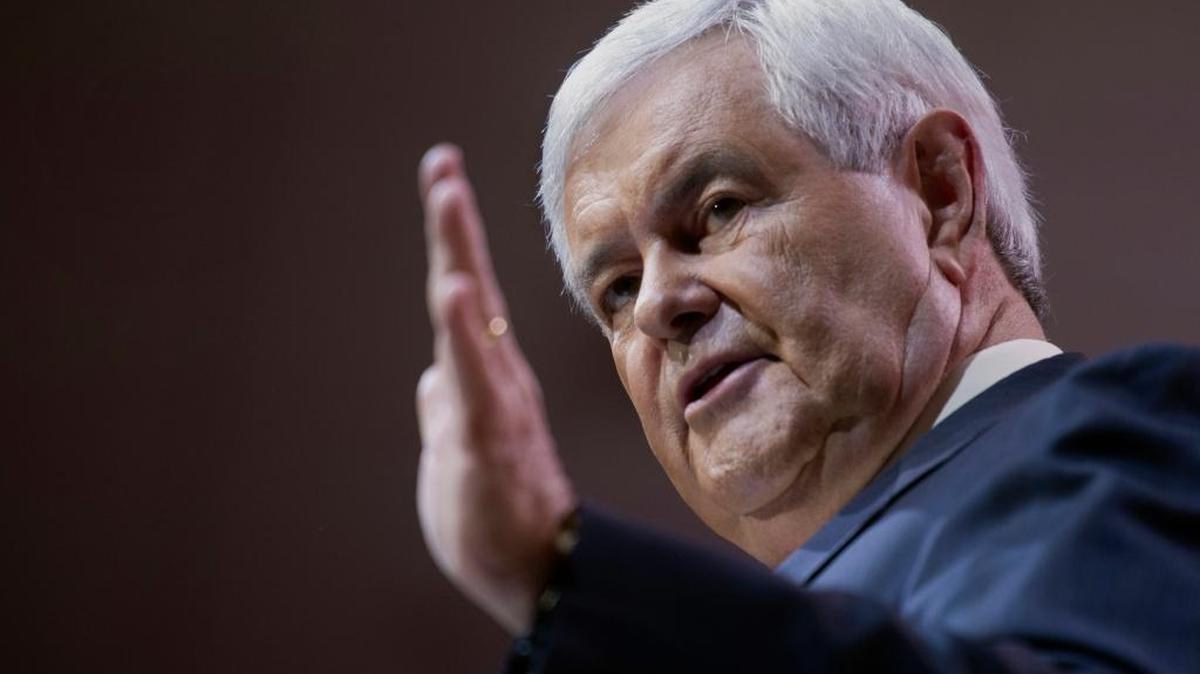 Former House Speaker Newt Gingrich says white and black Americans must find a way to create a dialogue and mutual understanding on racial issues.