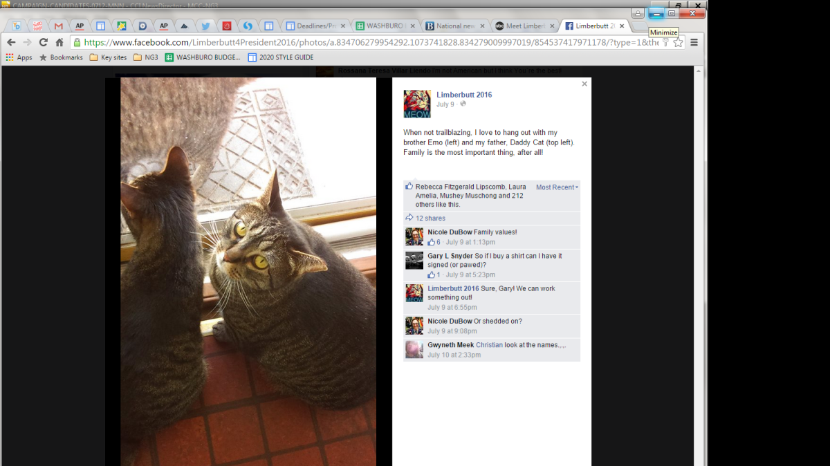 
“When not trailblazing, I love to hang out with my brother Emo (left) and my father, Daddy Cat (top left). Family is the most important thing, after all!” says Limberbutt McCubbins, a self-proclaimed “Feline-American,” on his Facebook page. At 5 years of age, he is well short of the 35 required by the Constitution. But his campaign manager, a high-school student named Isaac Weiss, is adamant that Limberbutt is eligible since the Constitution only mentions “human years.”
