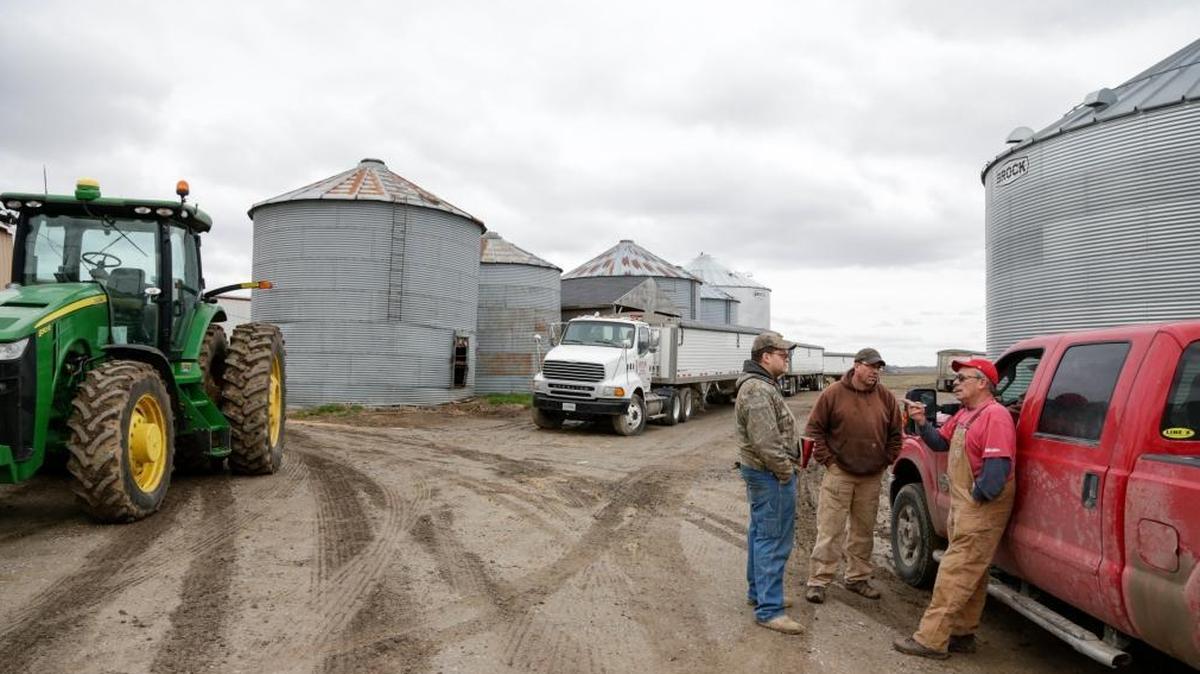 Blake Hurst, a corn and soybean farmer and president of the Missouri Farm Bureau, right, talks with his son Dallas Hurst, left, and his brother Brooks Hurst, center, on his farm in Westboro, Mo.