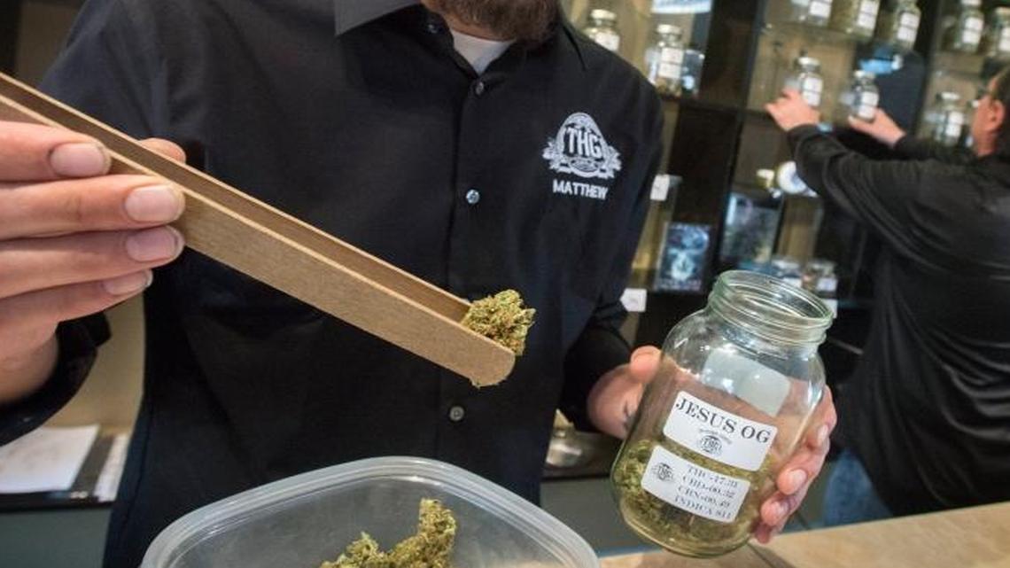 Store manager Matthew Torres measures out marijuana on a scale at the Herbal Garden in Tacoma, Wash., on Aug. 12, 2015. The U.S. Drug Enforcement Administration will soon decide whether to remove marijuana from the list of Schedule 1 drugs.