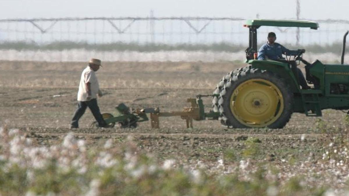 Work goes on next to a cotton field in California’s Westlands Water District, near Five Points, in this 2009 file photo.