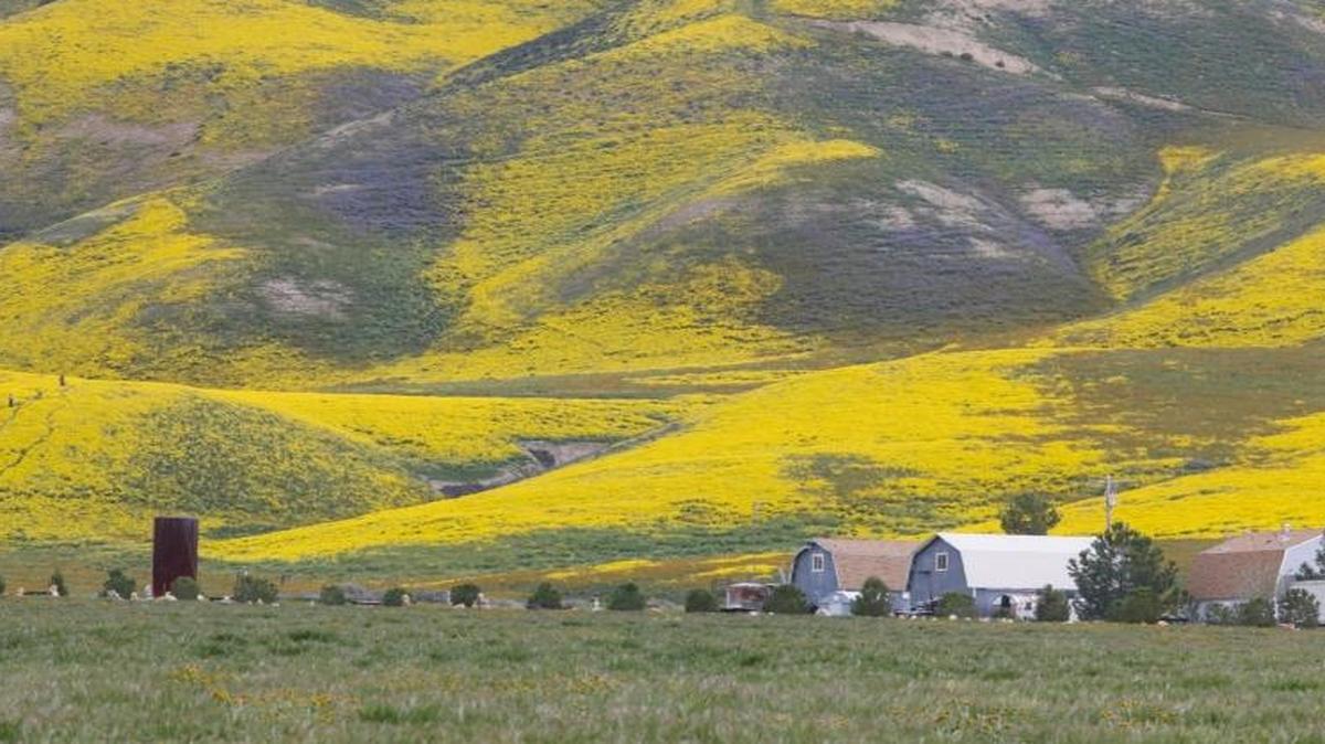 The Temblor Range near Seven Mile Road, along California’s Highway 58 in the Carrizo Plain National Monument, on March 26, 2017.