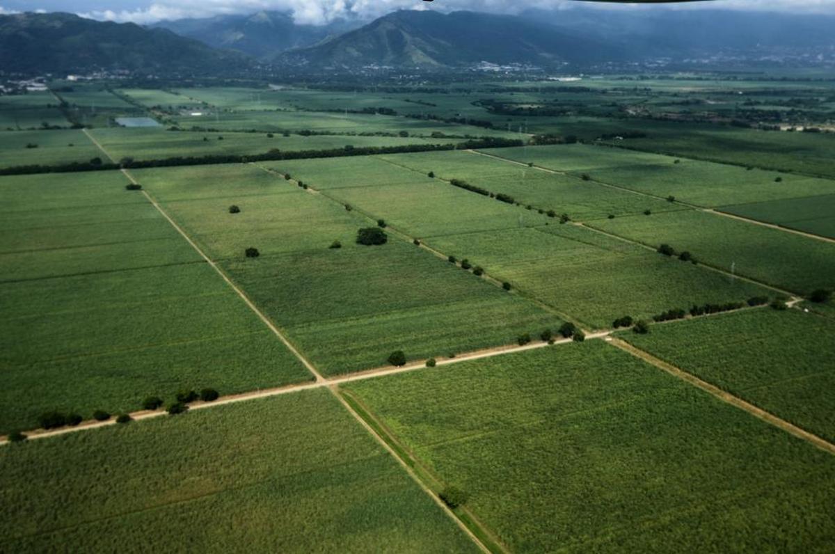Many Hondurans have left rural areas in search of greater economic opportunity in cities.