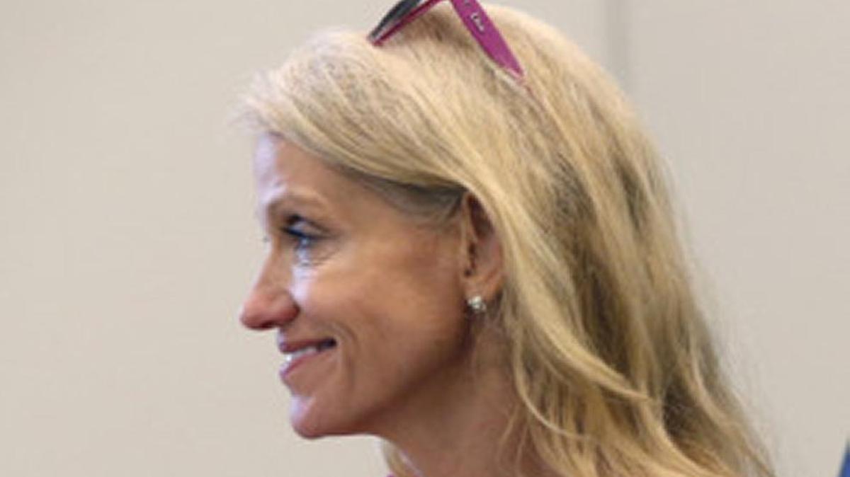 Kellyanne Conway says Americans should not pay attention to what President-elect says.